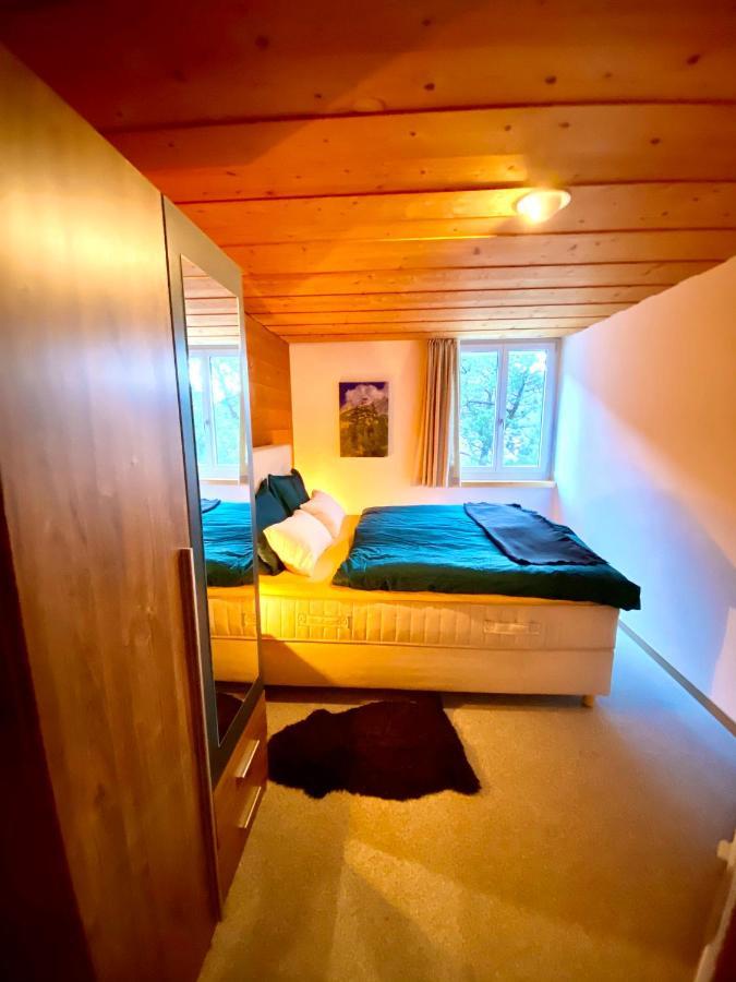 Appartement Aareschlucht- Grandiose Aussicht Fuer 2-6 Pers. 迈林根 外观 照片