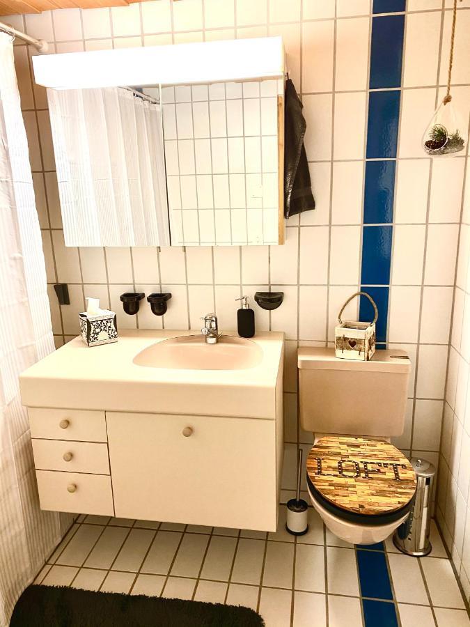 Appartement Aareschlucht- Grandiose Aussicht Fuer 2-6 Pers. 迈林根 外观 照片