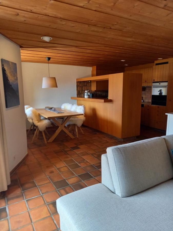 Appartement Aareschlucht- Grandiose Aussicht Fuer 2-6 Pers. 迈林根 外观 照片