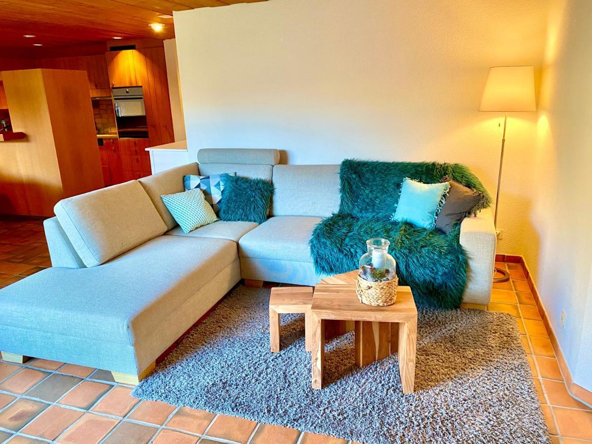 Appartement Aareschlucht- Grandiose Aussicht Fuer 2-6 Pers. 迈林根 外观 照片