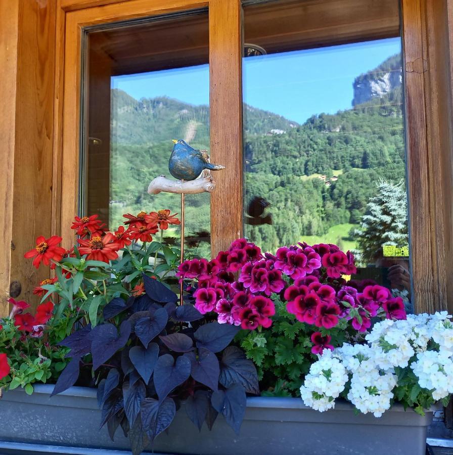 Appartement Aareschlucht- Grandiose Aussicht Fuer 2-6 Pers. 迈林根 外观 照片
